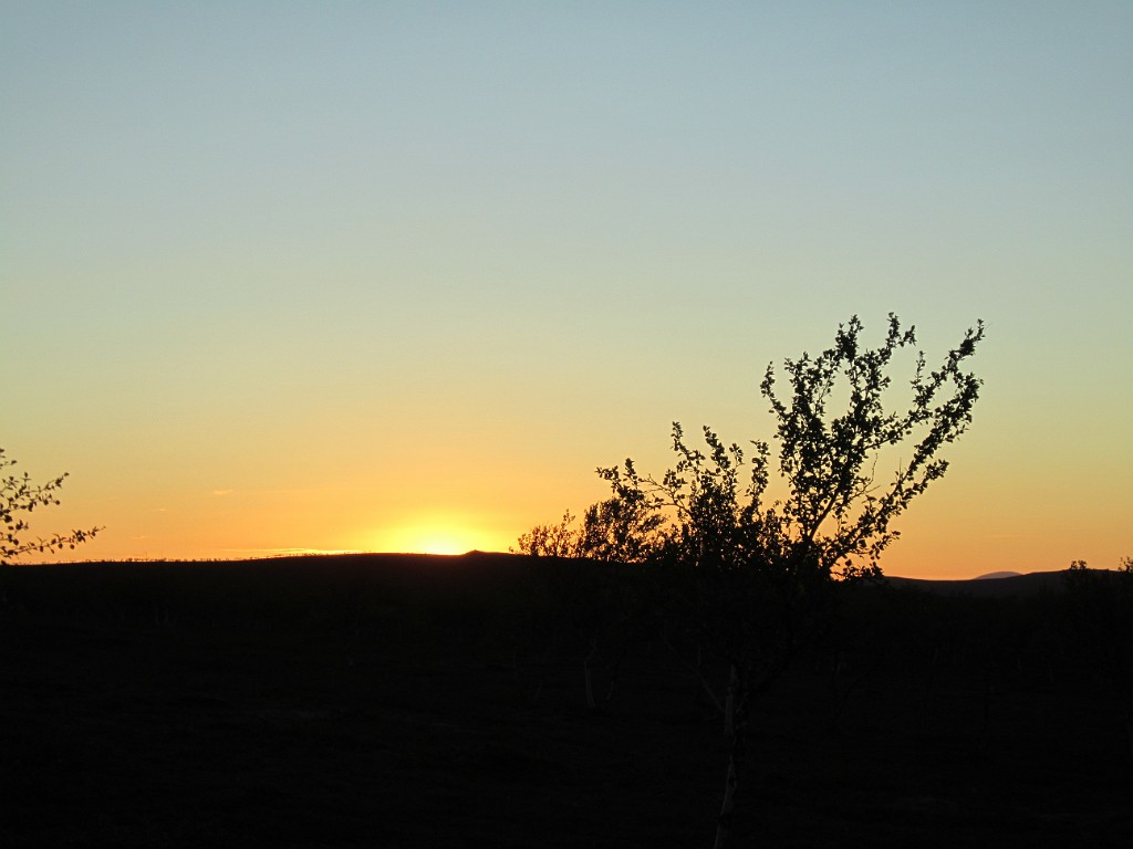kesä 2011 395.jpg